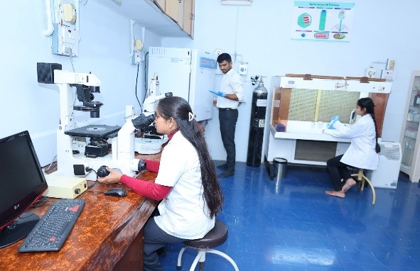 Gynaecology1