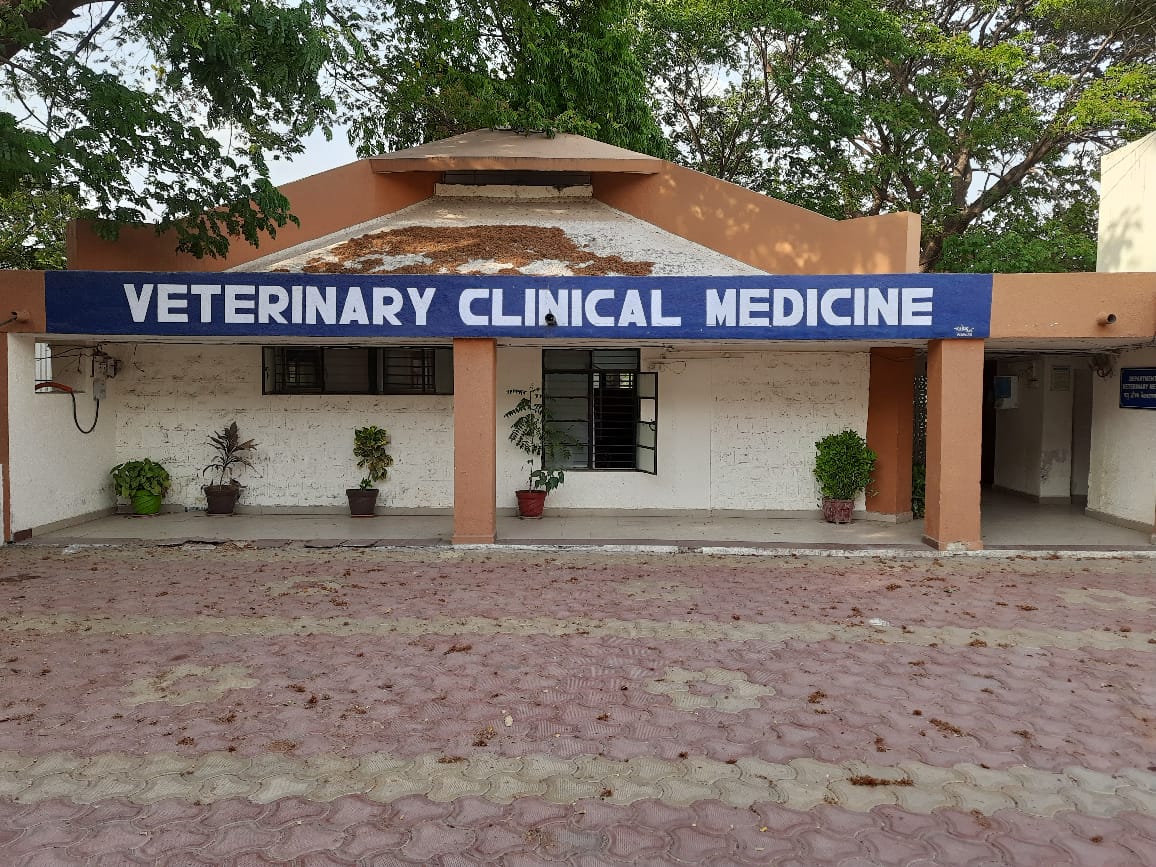 Vcm Banner